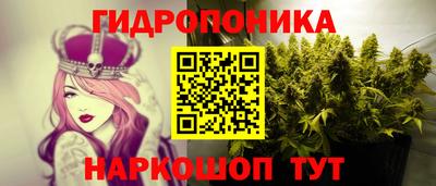 скорость Краснознаменск